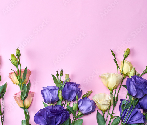 Fototapeta Naklejka Na Ścianę i Meble -  fresh blooming flowers Eustoma Lisianthus