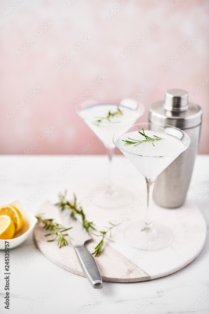 Refreshing summer alcoholic cocktail Margarita with rosemary and citrus fruits or sparkling gin and lemonade with cocktail shaker on marble table over pink background. Copy space. Selective focus. Refreshing summer alcoholic cocktail Margarita with rosemary and citrus fruits or sparkling gin and lemonade with cocktail shaker on marble table over pink background. Copy space. Selective focus.