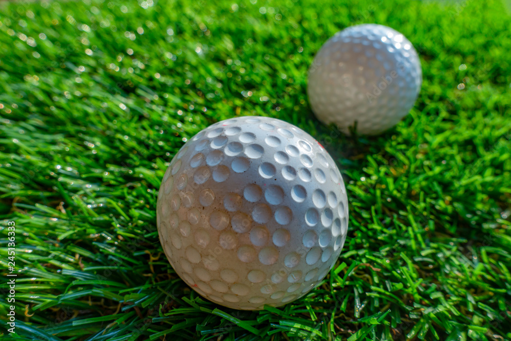 Fototapeta premium Golf ball on grass