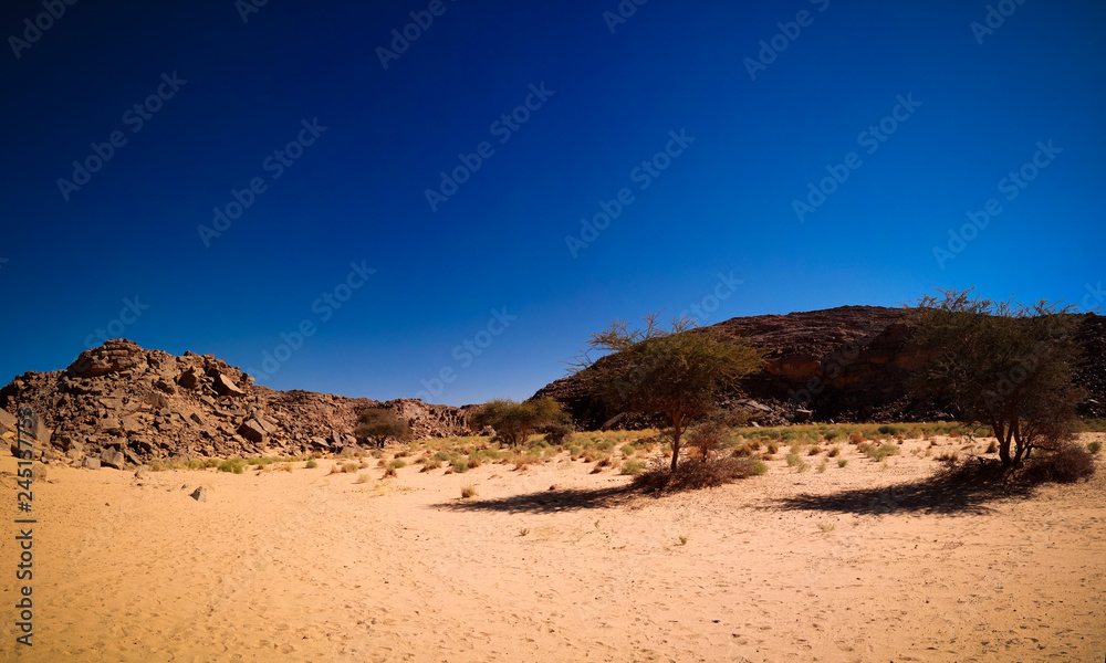 desert landscape El Berdj canyon in Tassili NAjjer National Park, Algeria