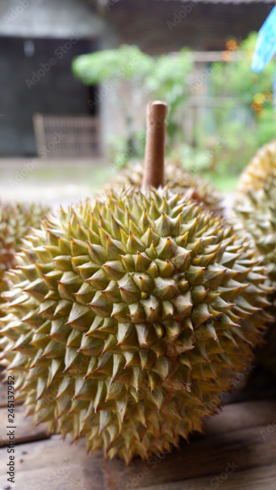 Fototapeta premium sweet durian fruit