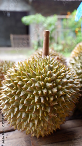 sweet durian fruit