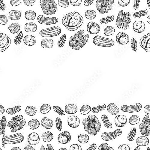 Nuts Seamless vector pattern.