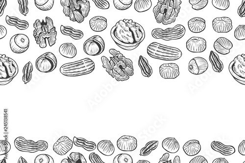 Nuts Seamless vector pattern.