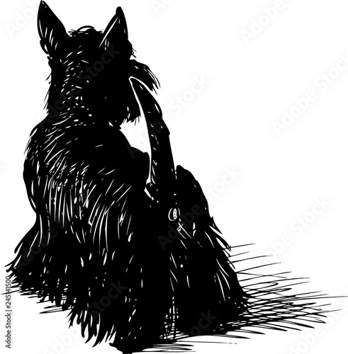 Vector drawing of a black scottish terrier