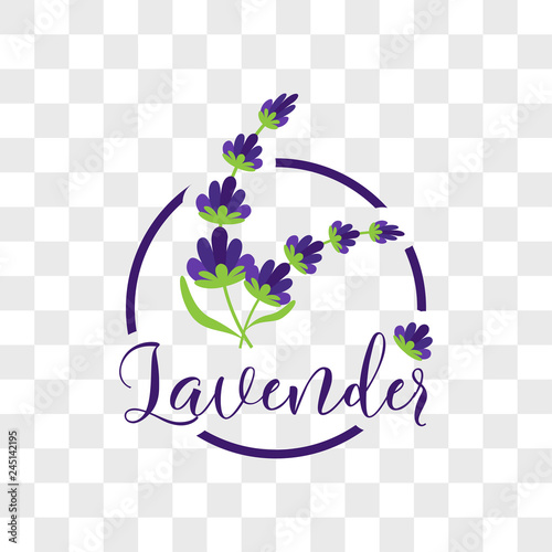 lavender flower on transparent background. vector illustration