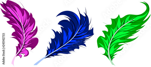 light lace feathers in three versions, letter pens, blue, pink, green, vector
