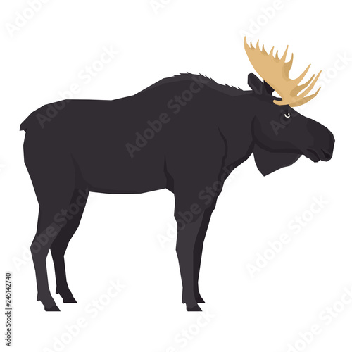 Moose Forest Wild Life Isolated object Vector animals Geometric style
