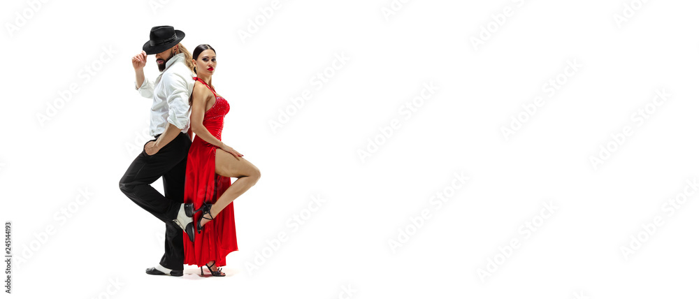 Portrait of young elegance tango dancers isolated over white background - obrazy, fototapety, plakaty 