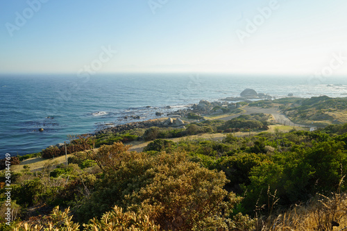 Road to Cape Point in Southafrica at Sunrise