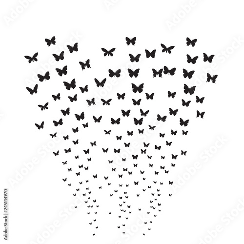vector isolated, white background with butterfly silhouette