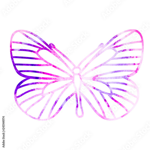 butterfly sketch watercolor