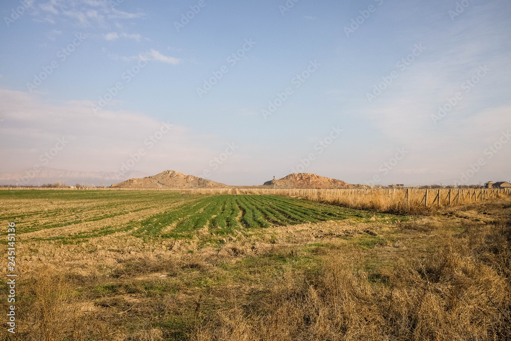 Armenian agriculture
