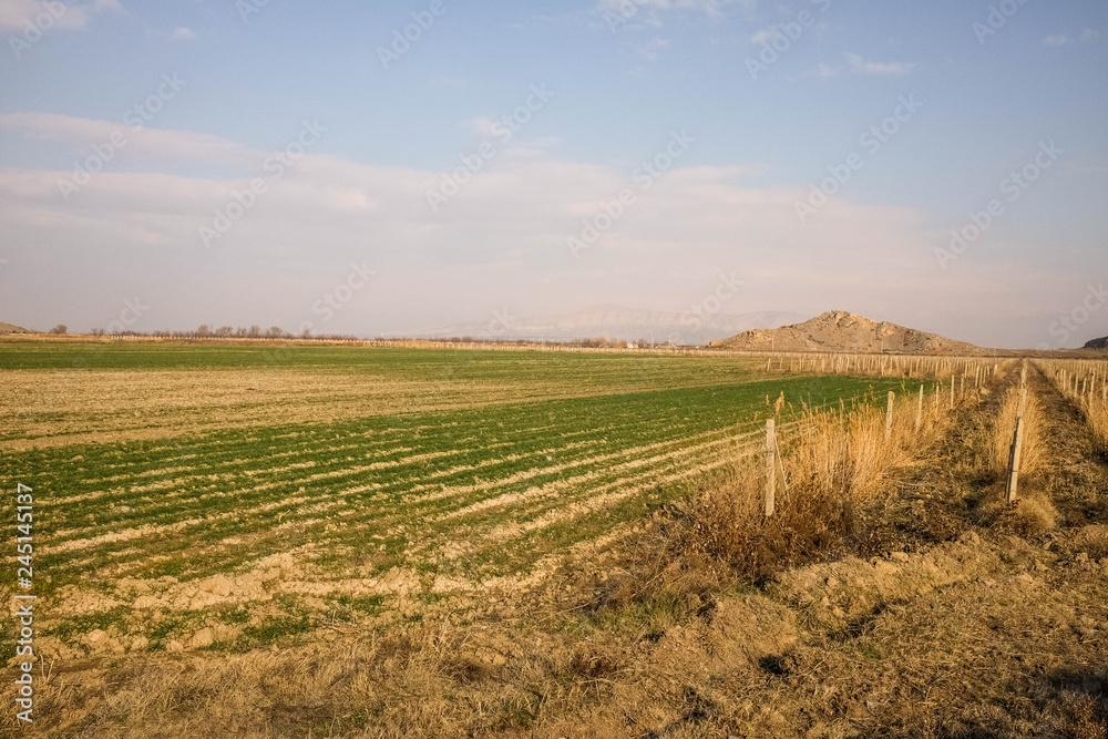 Armenian agriculture Armenian agriculture