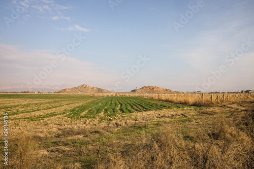 Armenian agriculture