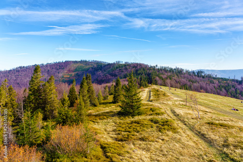 Fototapeta Naklejka Na Ścianę i Meble -  Foliage colors in Polish Beskidy mountains, Beskid Slaski, Poland