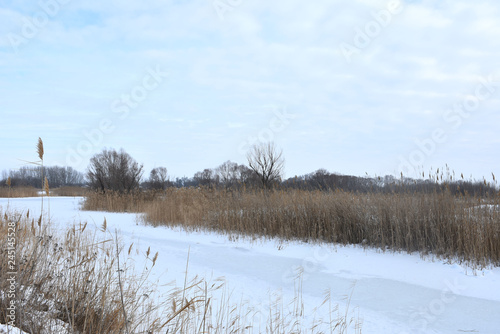 winter landscape of the river,