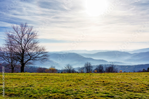 Fototapeta Naklejka Na Ścianę i Meble -  Foliage colors in Polish Beskidy mountains, Beskid Slaski, Poland