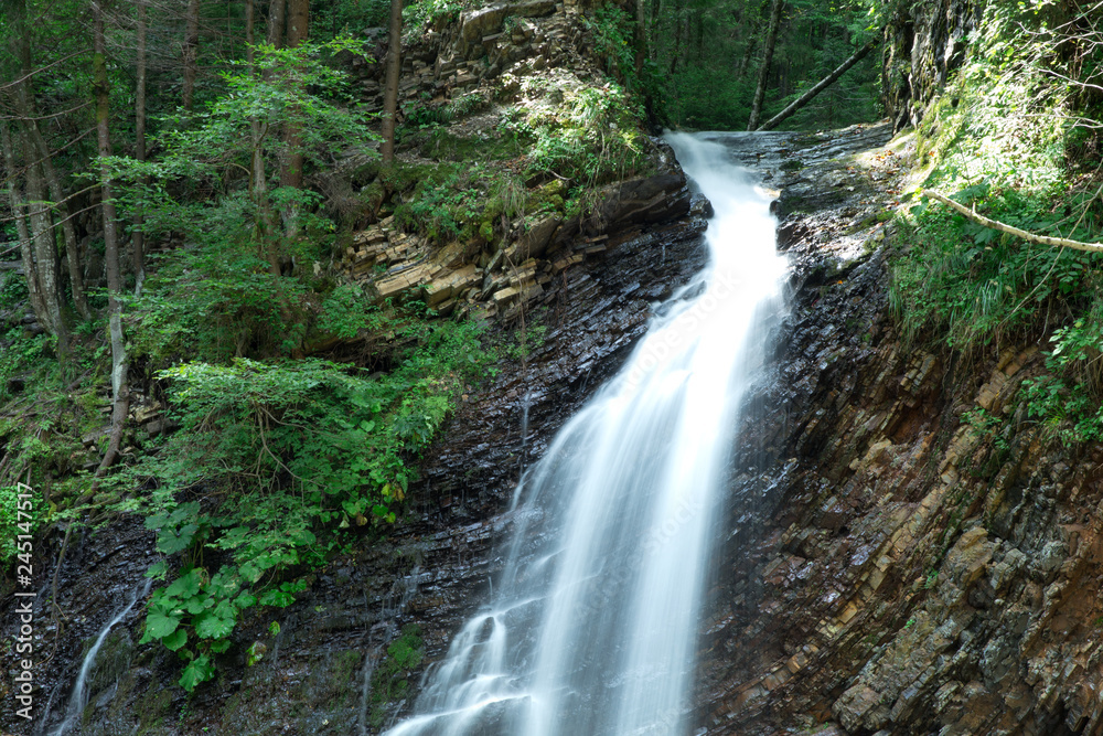 beautiful deep forest waterfall