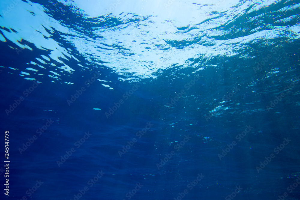 Tranquil underwater scene with copy space