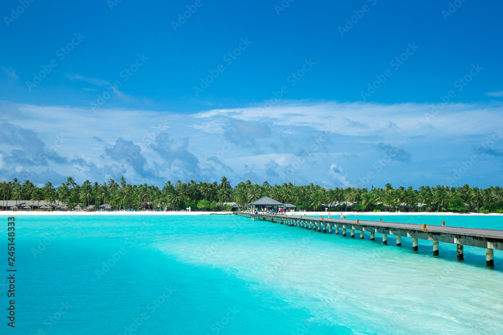 tropical Maldives island with white sandy beach and sea tropical Maldives island with white sandy beach and sea