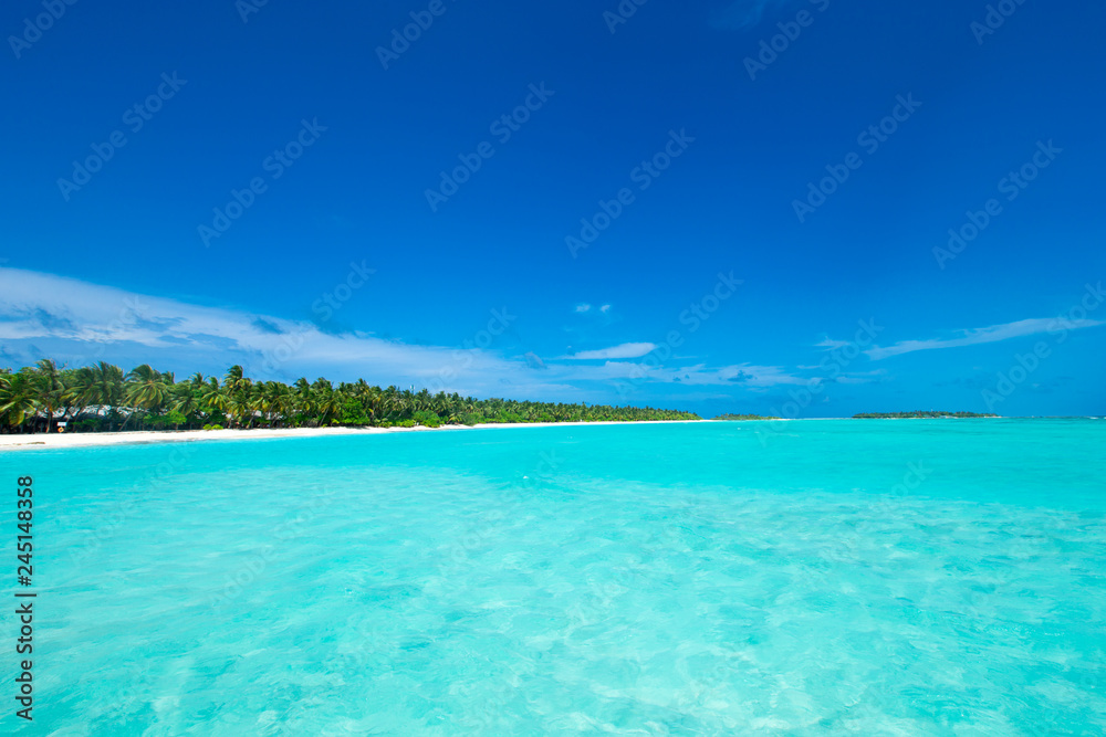 tropical Maldives island with white sandy beach and sea