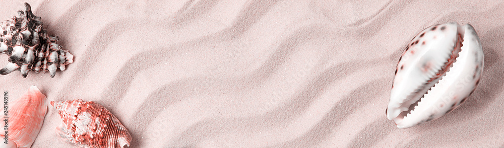 Marine summer postcard. Seashells border on sand on the beach, color living coral, panoramic banner Marine summer postcard. Seashells border on sand on the beach, color living coral, panoramic banner