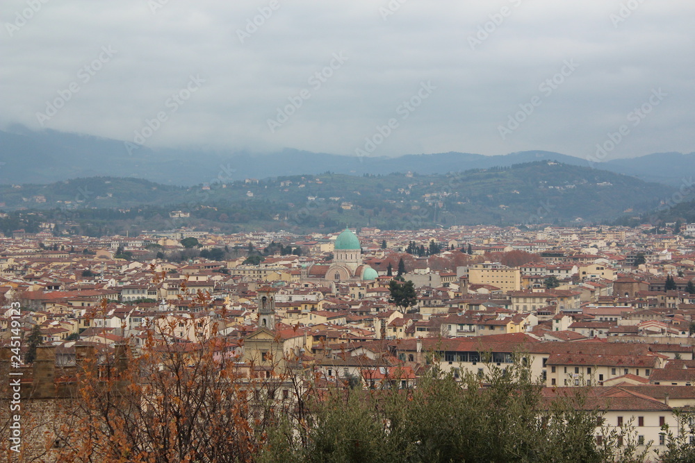 Florence city view from the mountain hill