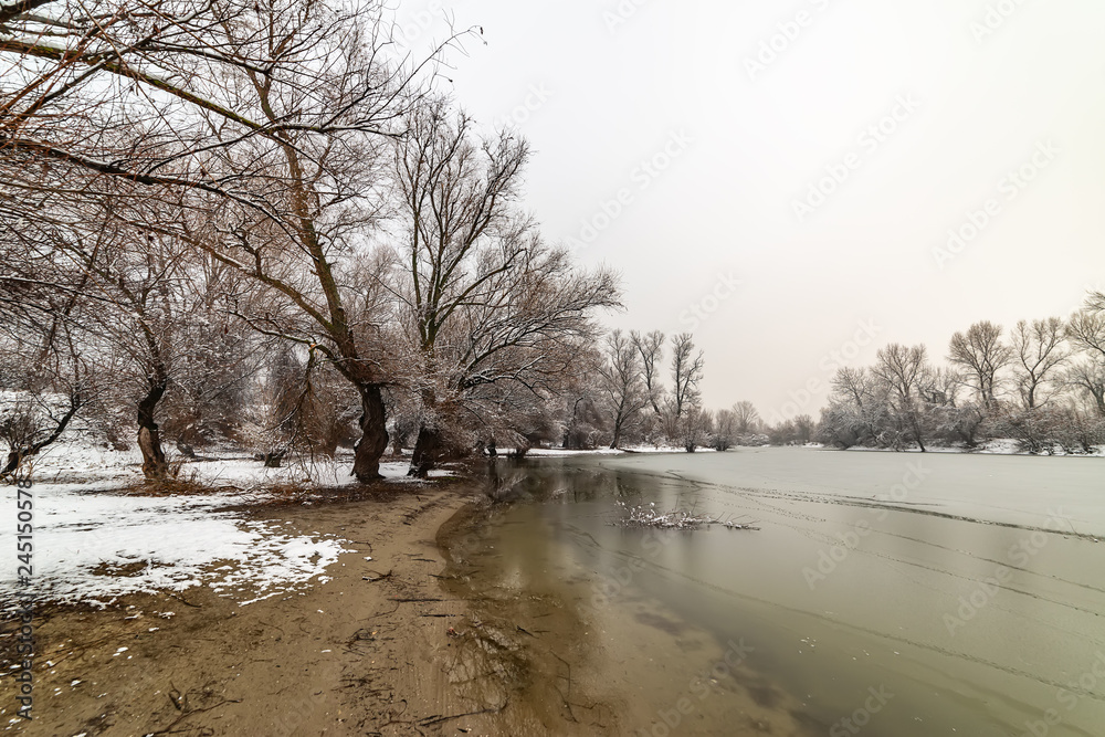 Naklejka premium Danube island (Šodroš) near Novi Sad, Serbia. Colorful landscape with snowy trees, beautiful frozen river.