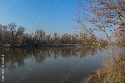 Landscape - Morava river with bare trees and blue sky