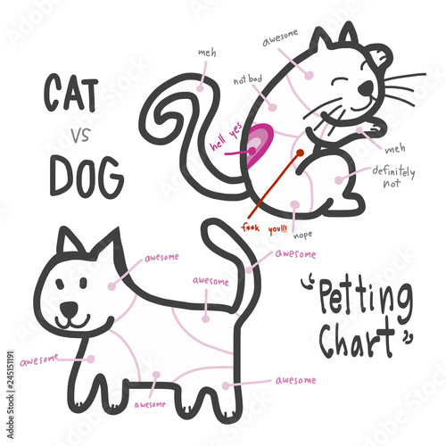 Cute cat and dog petting cartoon infographic chart vector illustration