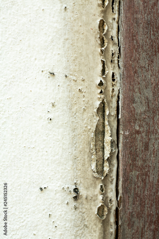 Abstract white cracked concrete and wood texture background, Close up & Macro shot, Selective focus