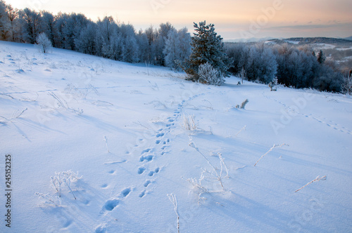 beautiful winter landscapes in the valleys © mikhailgrytsiv