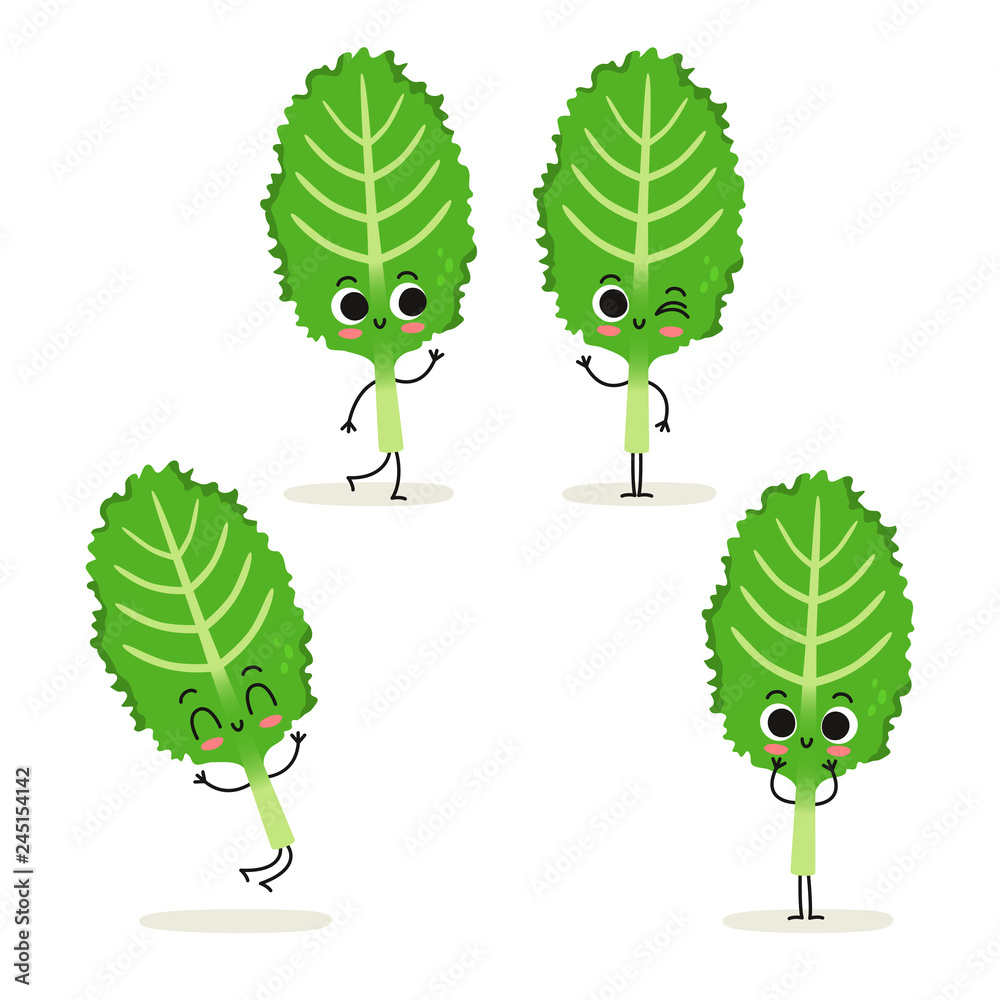 Kale. Cute cartoon vegan protein food vector character set isolated on