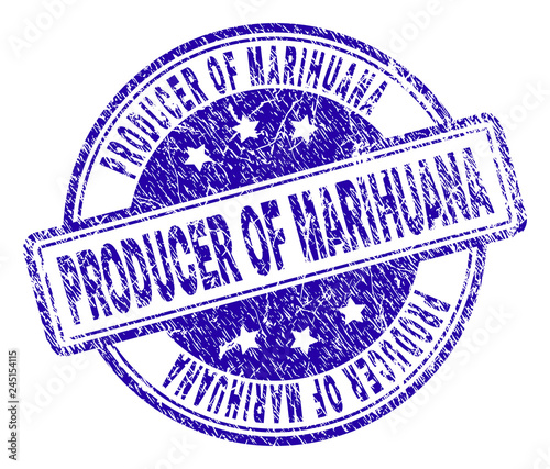 PRODUCER OF MARIHUANA stamp seal imprint with distress texture. Designed with rounded rectangles and circles. Blue vector rubber print of PRODUCER OF MARIHUANA text with scratched texture.