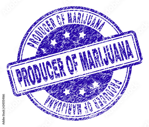 PRODUCER OF MARIJUANA stamp seal imprint with distress texture. Designed with rounded rectangles and circles. Blue vector rubber print of PRODUCER OF MARIJUANA title with unclean texture.
