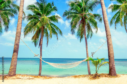 Fototapeta Naklejka Na Ścianę i Meble -  Empty white hammock between palms on a sand beach. Holiday and vacation concept.