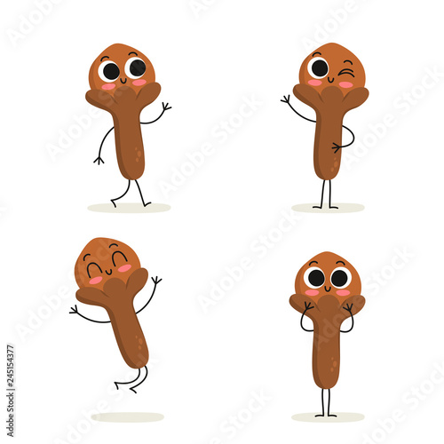 Clove. Cute spice vector character set isolated on white