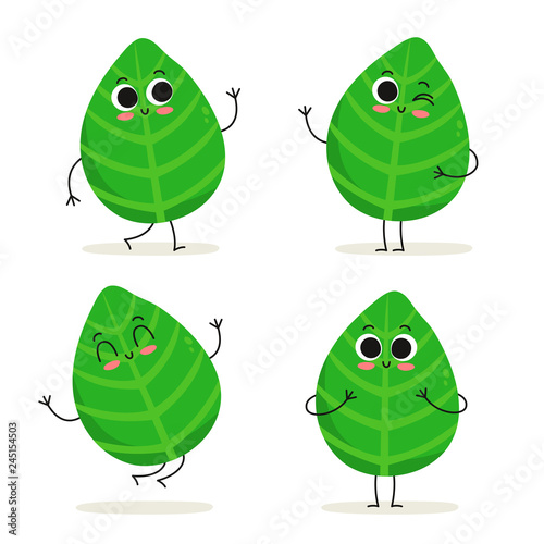 Basil. Cute herb vector character set isolated on white