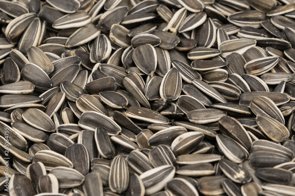 Striped sunflower seeds background texture Striped sunflower seeds background texture