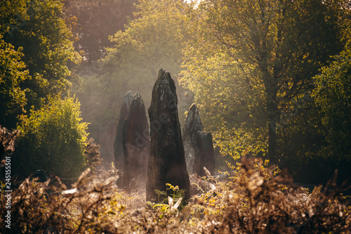 Menhirs de Monteneuf dans la brume du matin au lever du jour