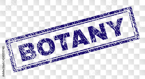 BOTANY stamp seal print with rubber print style and double framed rectangle shape. Stamp is placed on a transparent background. Blue vector rubber print of BOTANY tag with unclean texture.