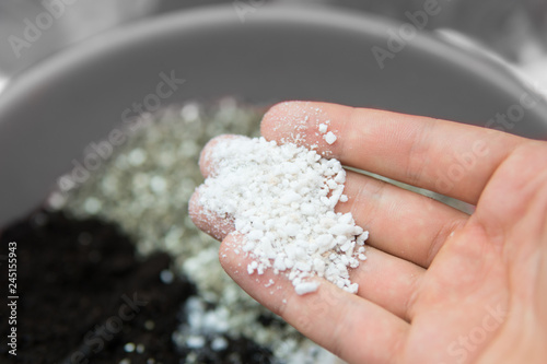 Perlite in the hands of a man. Close up. Soil growing cannabis. A mixture of earth, perlite and vermiculite. The concept of growing medical cannabis in the doore indoor. Substrate for marijuana. photo