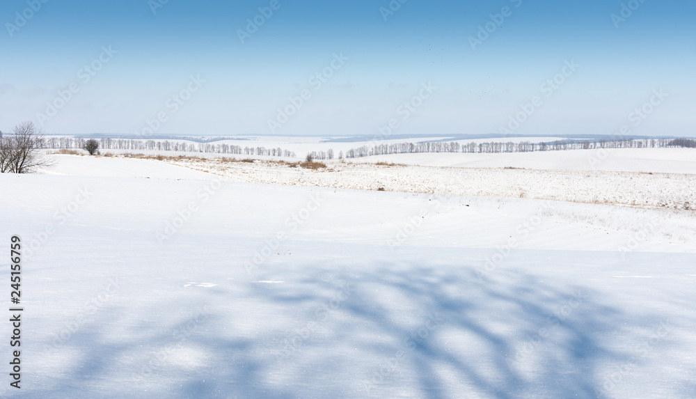 Outskirts of the village, landscape on a bright winter day, fields in the snow and trees without snow Outskirts of the village, landscape on a bright winter day, fields in the snow and trees without snow