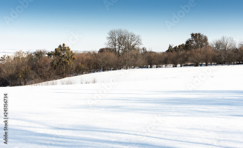 Winter landscape , fields in the snow and trees without snow © pundapanda