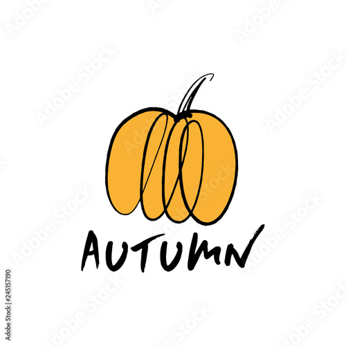 Vector single pumpkin line sketch, hand drawn illustration