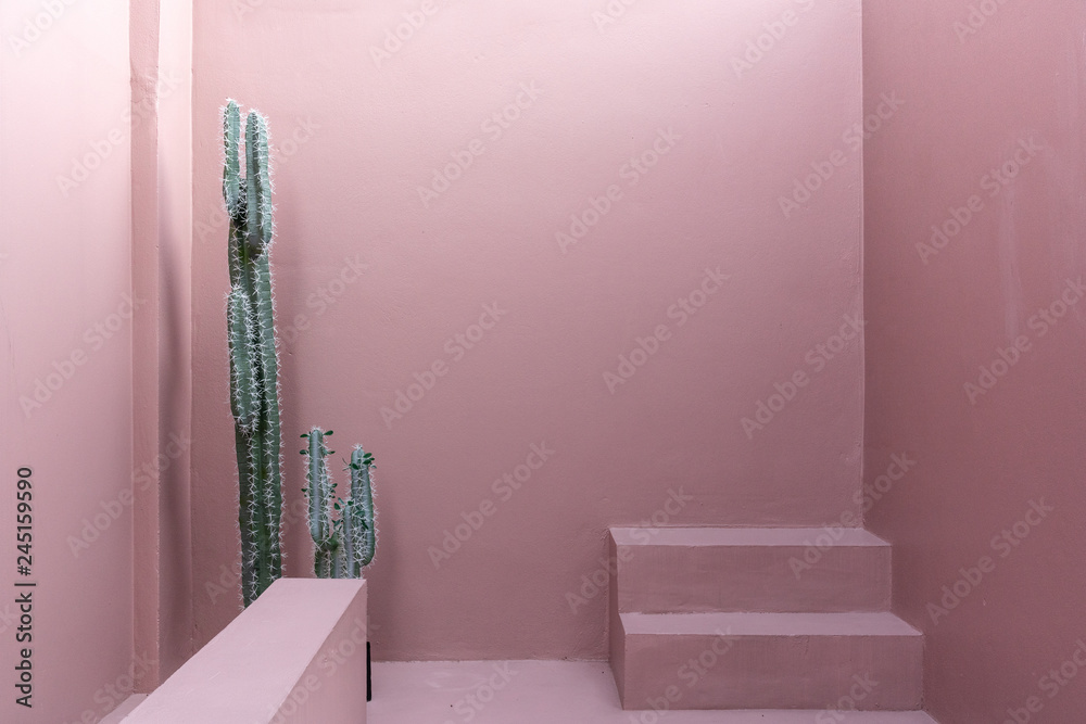 Fototapeta Minimalna scena pustej przestrzeni z różową pomalowaną ścianą i małym krokiem i sztucznym kaktusem do sesji zdjęciowej w naturalnym świetle / scena studyjna / motyw różowo różowy / studio plenerowe / nowoczesny minimalistyczny styl