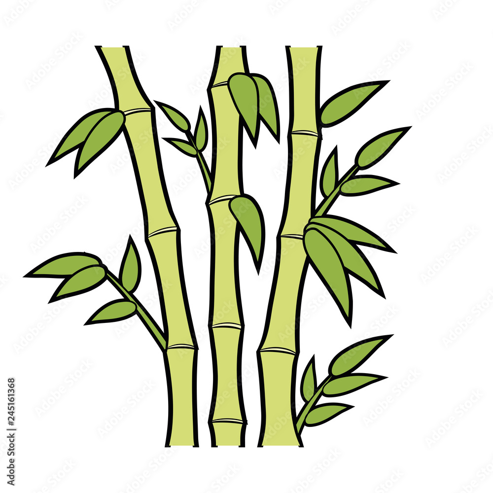 Bamboo stems and leaves