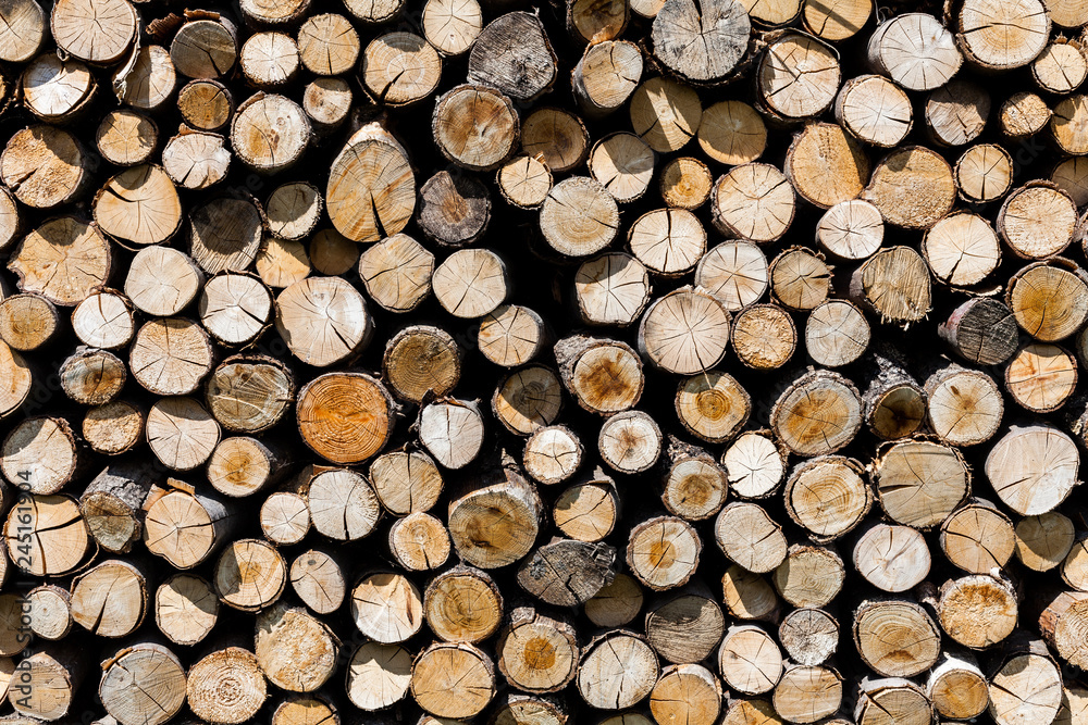 Sawed tree trunks and branches in different sizes, piled up in blue container Wood storage industry. Background of dry chopped firewood logs stacked up on top of each other in a pile. Sawed tree trunks and branches in different sizes, piled up in blue container Wood storage industry. Background of dry chopped firewood logs stacked up on top of each other in a pile.