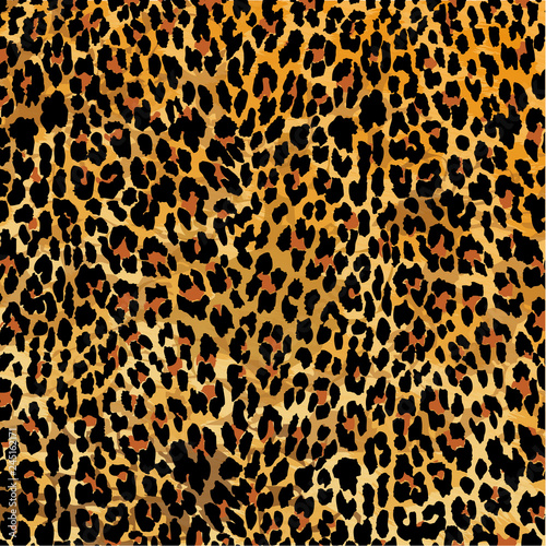 Leopard print pattern, vector illustration